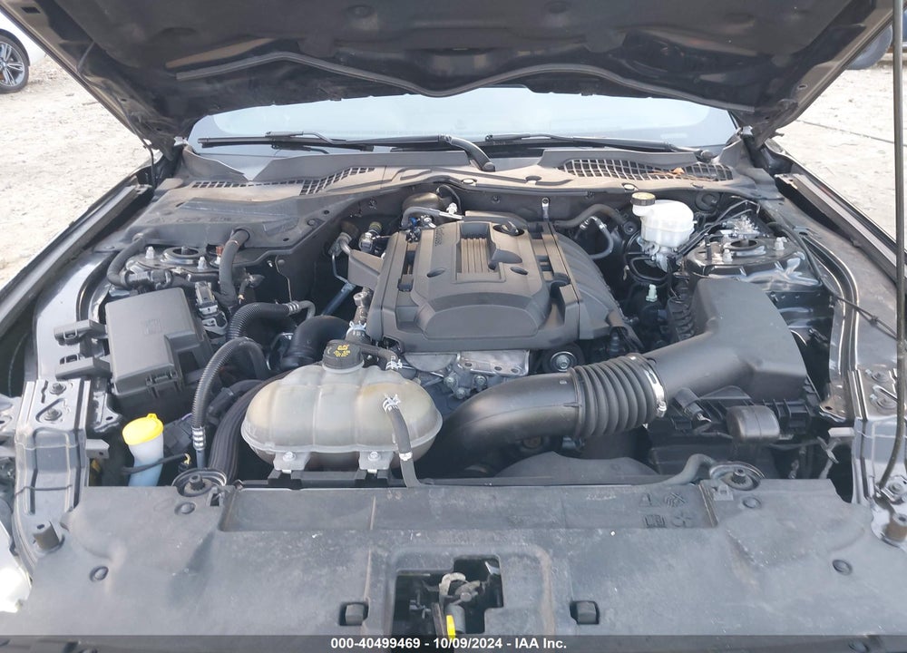 2019 FORD MUSTANG ECOBOOST VIN: 1FA6P8TH3K5199529