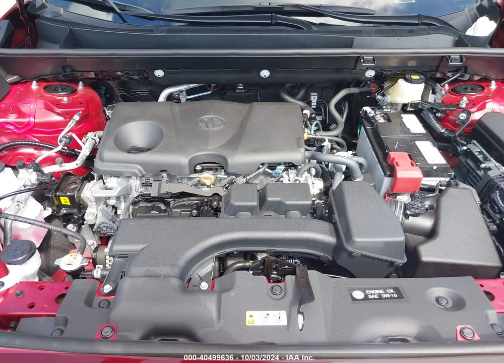 2024 TOYOTA RAV4 XLE VIN: 2T3W1RFV6RW355973