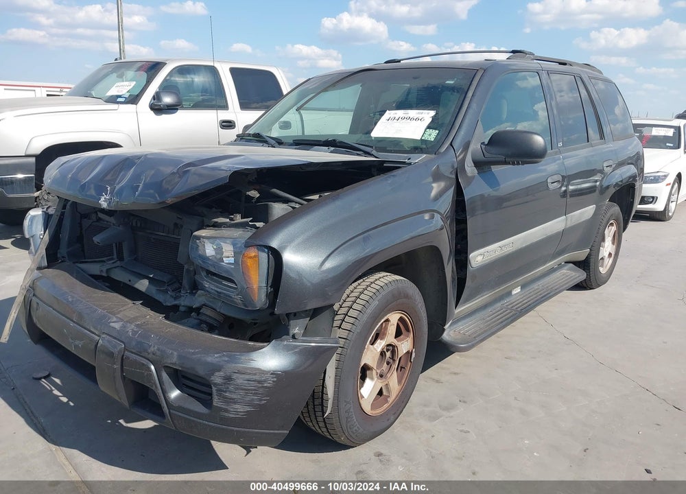 2003 CHEVROLET TRAILBLAZER LS VIN: 1GNDS13S132351174