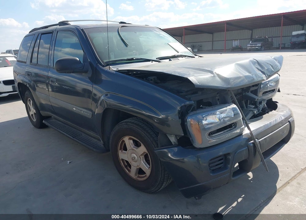 2003 CHEVROLET TRAILBLAZER LS VIN: 1GNDS13S132351174