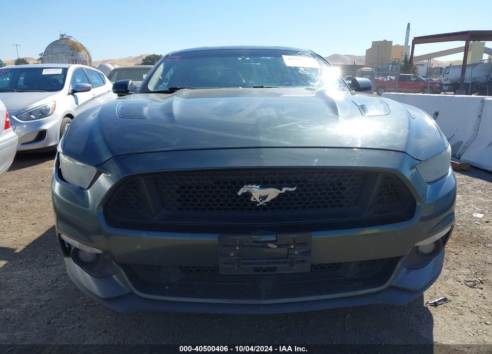 2015 FORD MUSTANG GT PREMIUM VIN: 1FA6P8CF3F5384765
