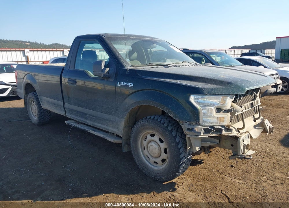 2015 FORD F-150 XL VIN: 1FTNF1EF3FKD06016