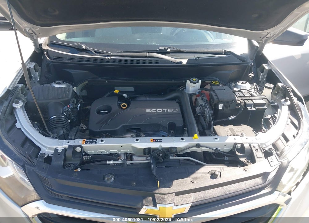2019 CHEVROLET EQUINOX LS VIN: 2GNAXHEV5K6280275