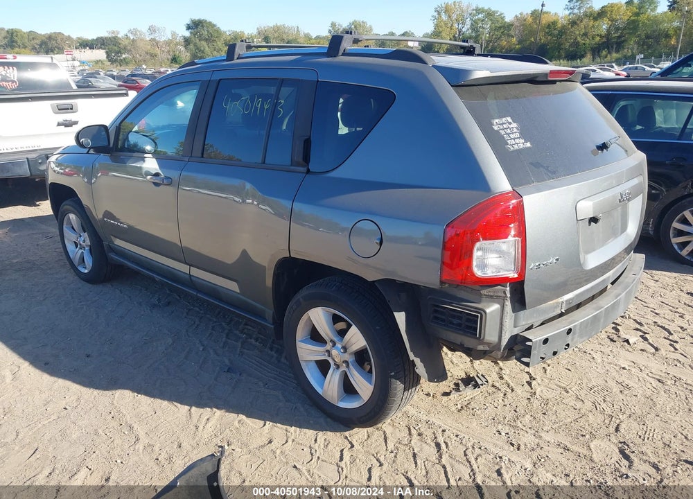 2011 JEEP COMPASS VIN: 1J4NF1FB0BD263307