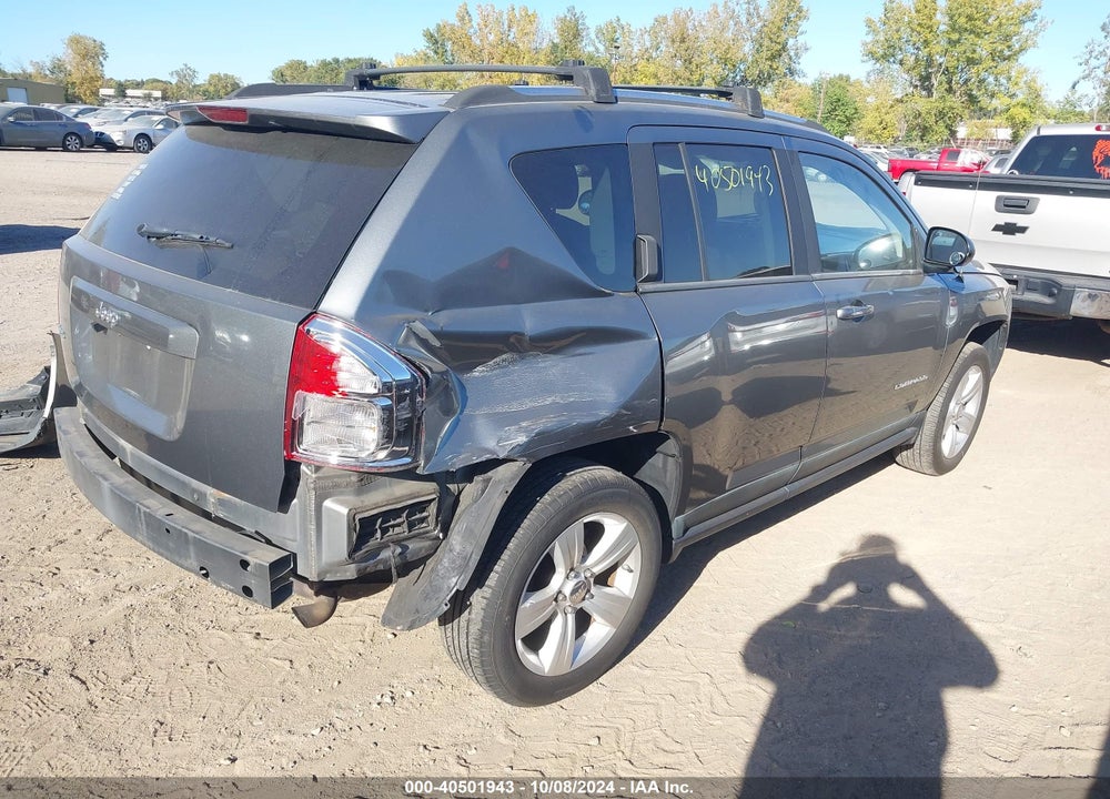 2011 JEEP COMPASS VIN: 1J4NF1FB0BD263307
