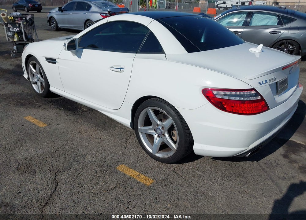 2014 MERCEDES-BENZ SLK 250 VIN: WDDPK4HA3EF090039