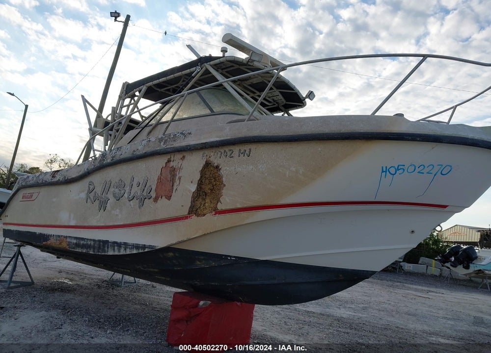 2003 BOSTON WHALER NA VIN: BWCE1932K203