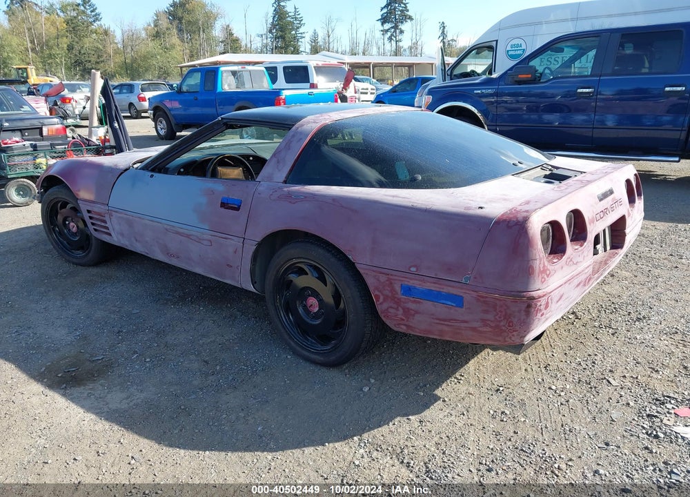 1993 CHEVROLET CORVETTE VIN: 1G1YY23P1P5118922