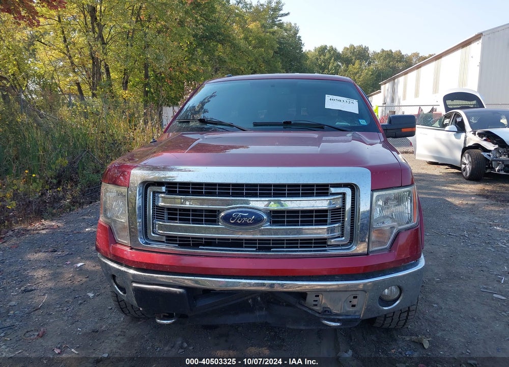 2013 FORD F-150 XLT VIN: 1FTFX1ET8DFD21737