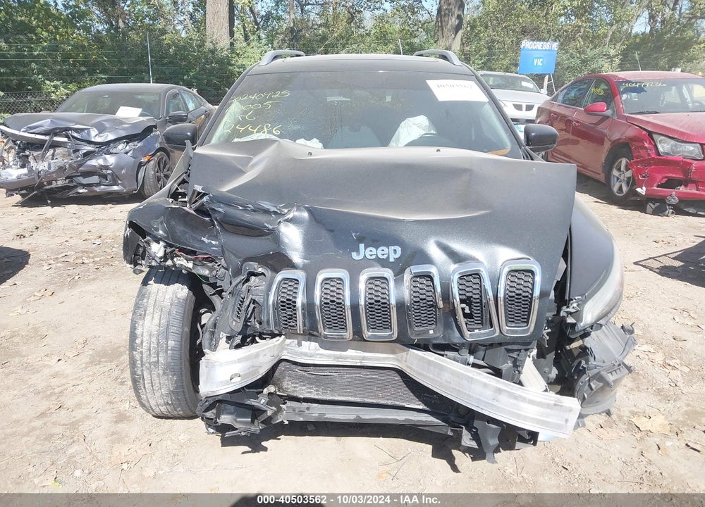 2016 JEEP CHEROKEE VIN: 1C4PJMDS4GW124486