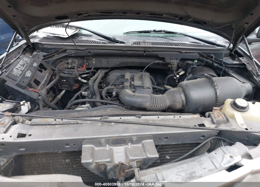2003 FORD F-150 XL/XLT VIN: 1FTRF18213NB02321