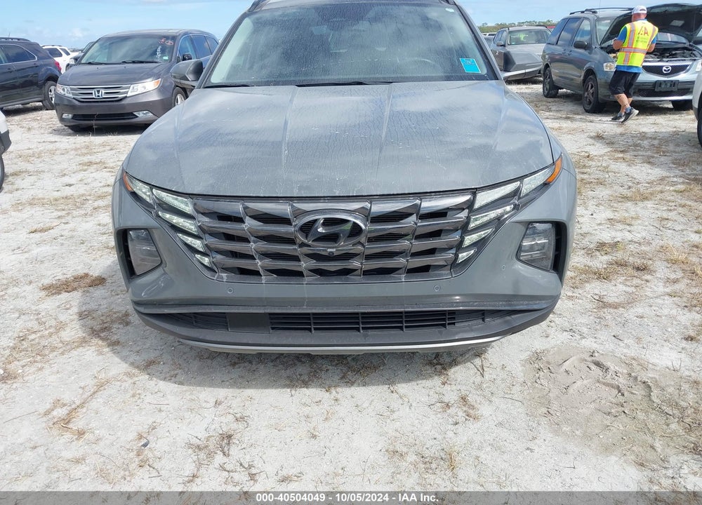 2024 HYUNDAI TUCSON LIMITED VIN: 5NMJE3DE2RH339255