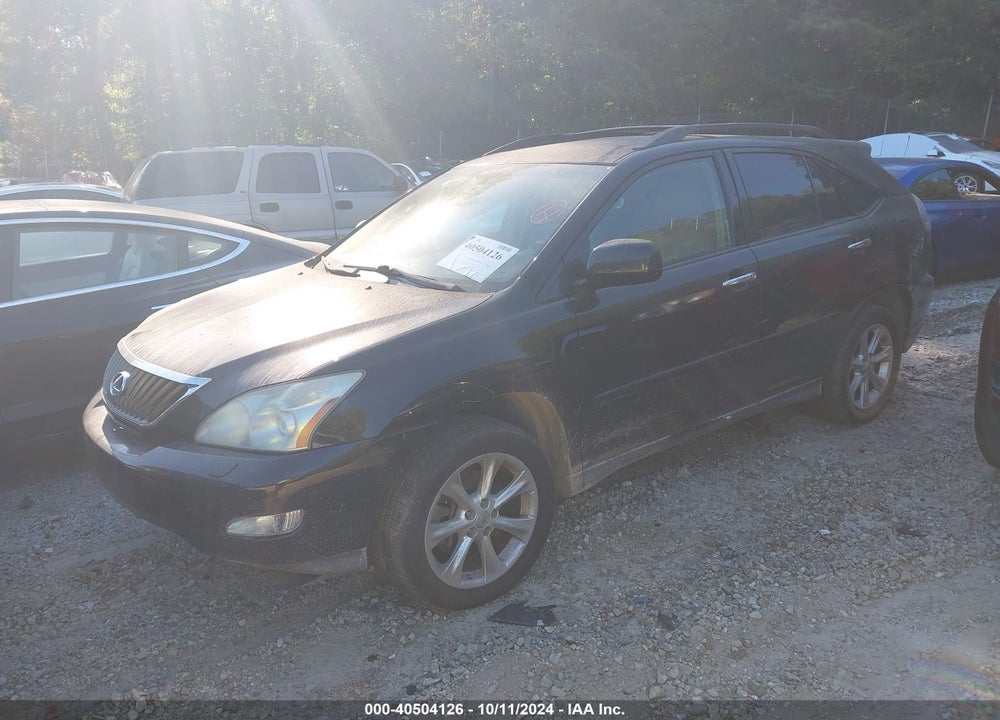2009 LEXUS RX 350 VIN: 2T2GK31U09C062637