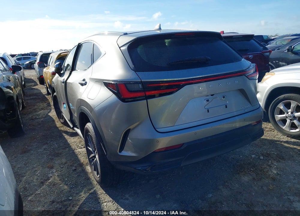2024 LEXUS NX VIN: 2T2GGCEZ0RC053704