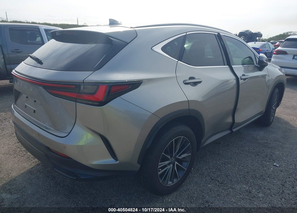 2024 LEXUS NX VIN: 2T2GGCEZ0RC053704