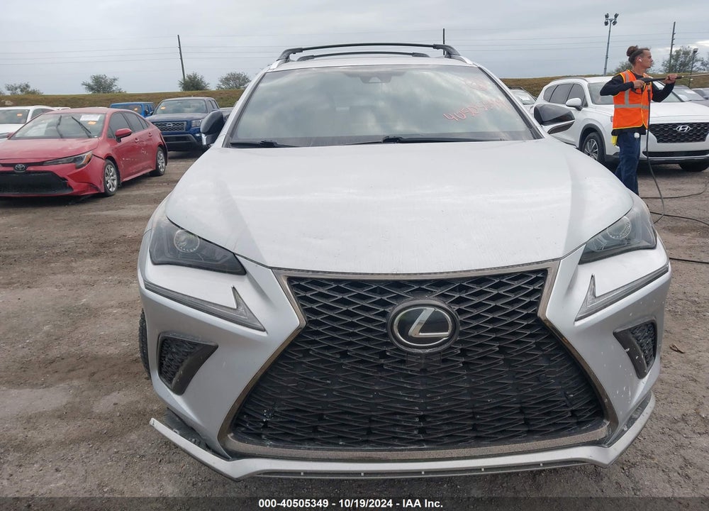 2019 LEXUS NX 300 F-SPORT VIN: JTJYARBZ9K2143050