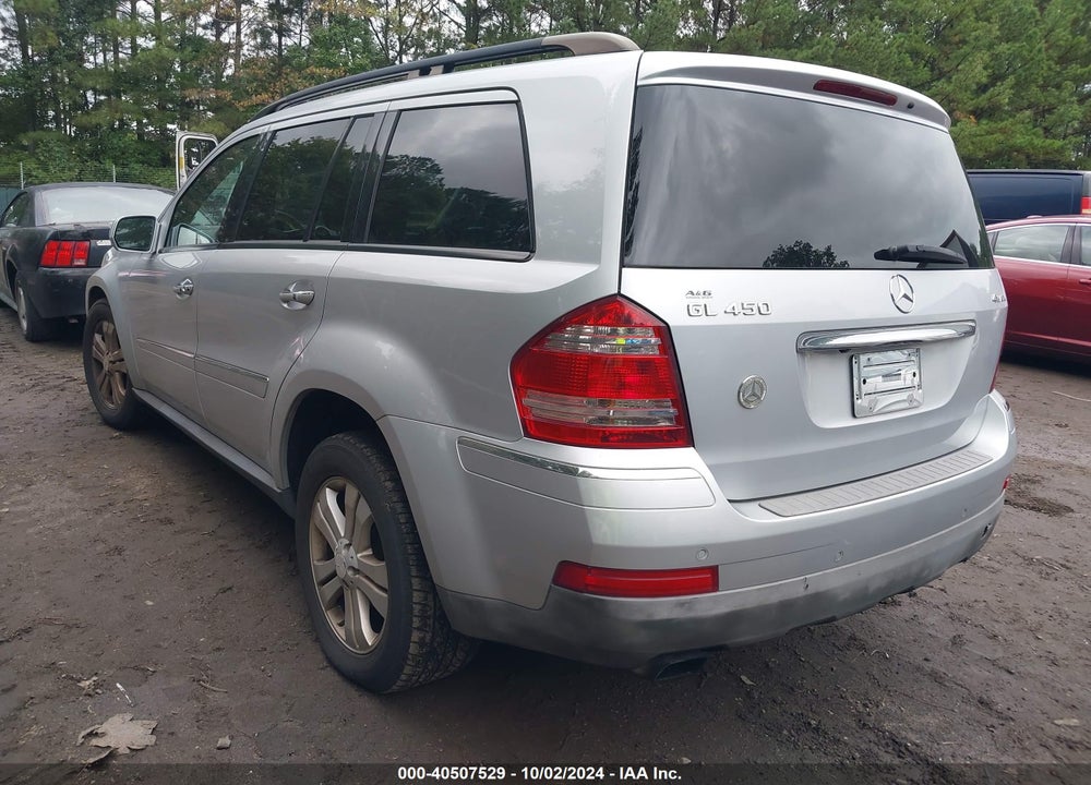 2009 MERCEDES-BENZ GL 450 4MATIC VIN: 4JGBF71E99A512434