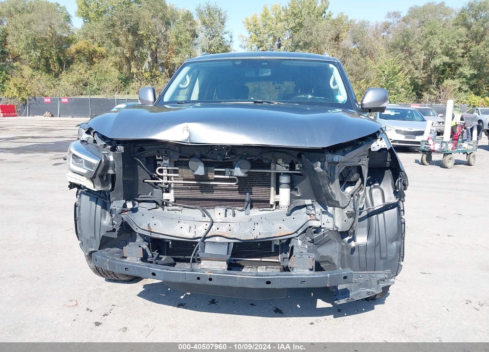 2019 INFINITI QX80 LUXE VIN: JN8AZ2NE3K9232931