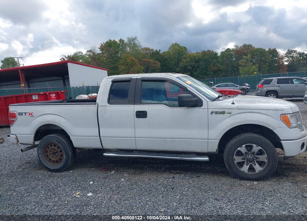 2013 FORD F-150 STX VIN: 1FTFX1EF8DKF24015