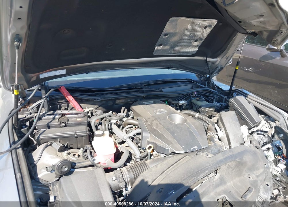 2019 LEXUS IS 300 VIN: JTHBA1D22K5095558