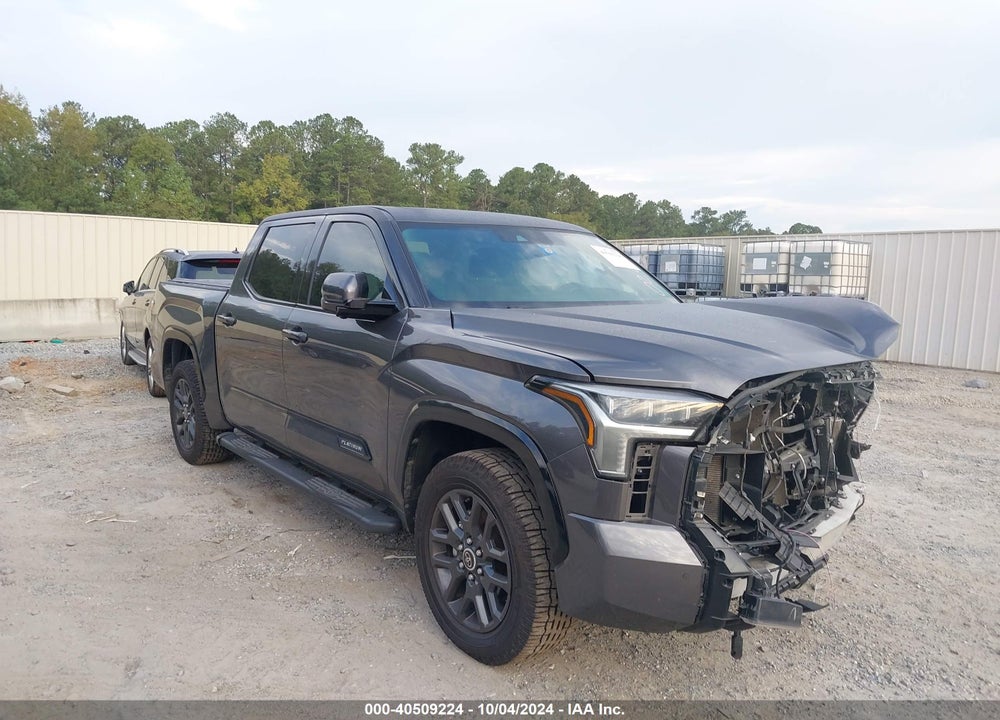 2023 TOYOTA TUNDRA PLATINUM VIN: 5TFNA5AB8PX026475