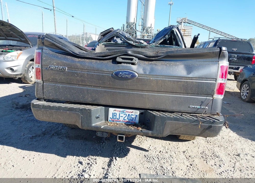 2014 FORD F-150 STX VIN: 1FTFX1EF5EFB00043