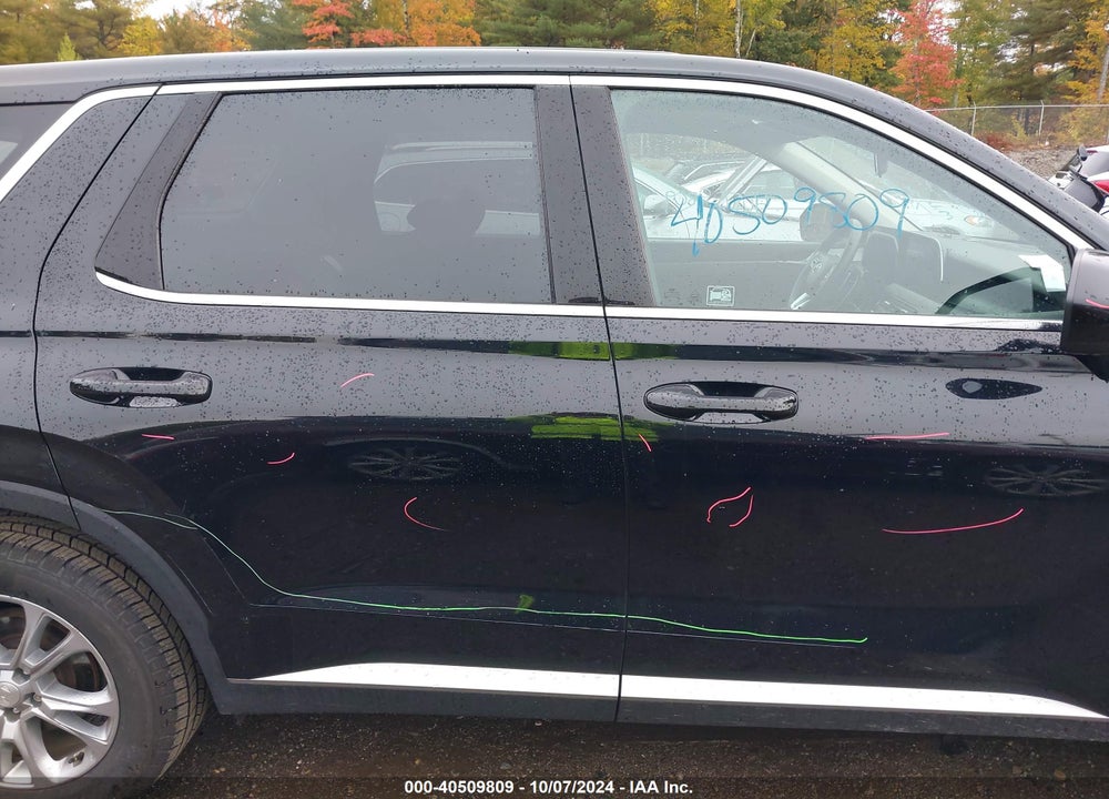 2020 HYUNDAI PALISADE SE VIN: KM8R1DHEXLU054717