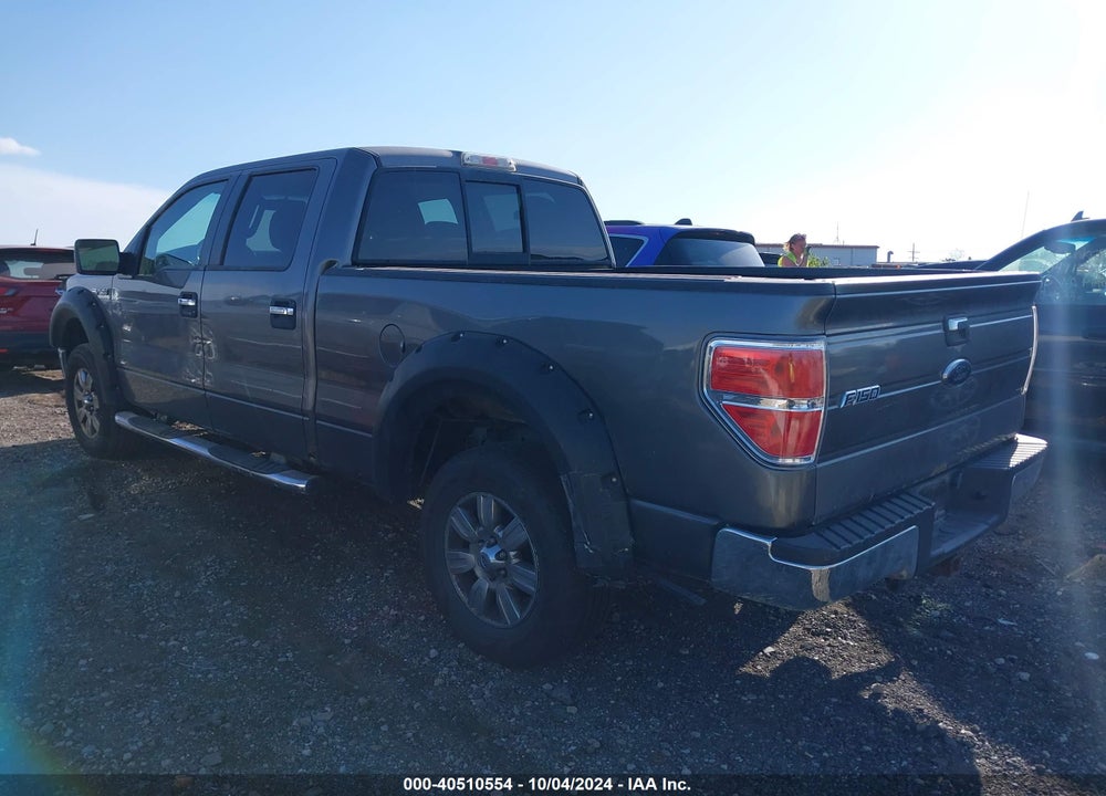 2010 FORD F-150 XL/XLT VIN: 1FTFW1E87AFB31762