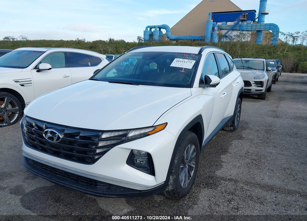 2024 HYUNDAI TUCSON HYBRID BLUE VIN: KM8JBCD14RU140783