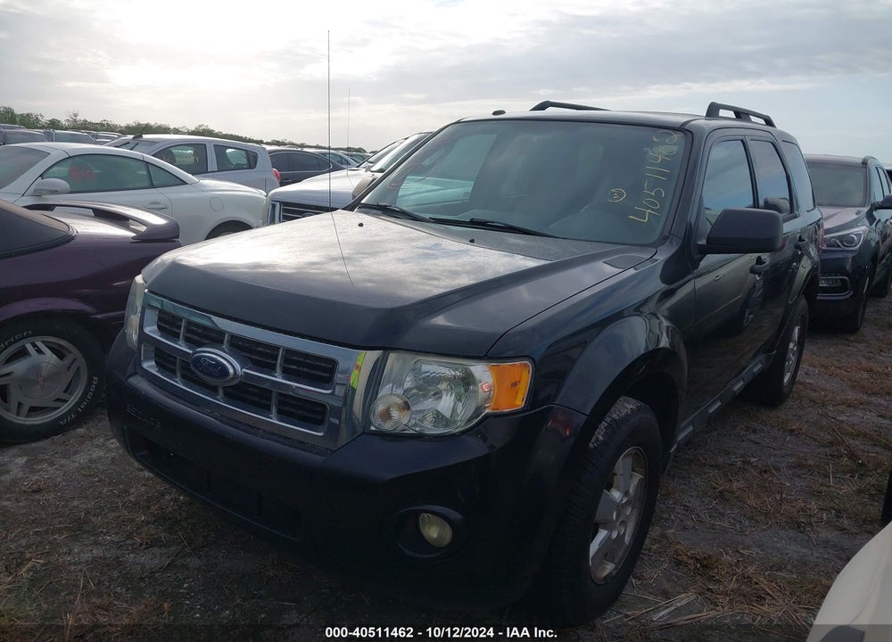 2010 FORD ESCAPE XLT VIN: 1FMCU0D75AKC31289