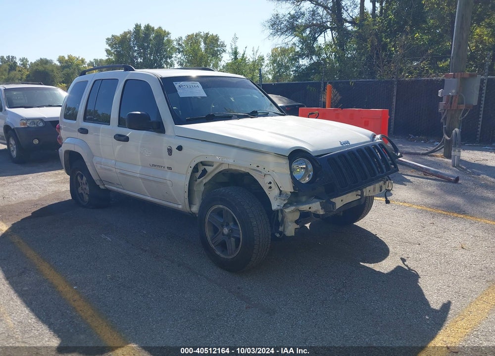 2002 JEEP LIBERTY LIMITED EDITION VIN: 1J8GL58K12W280562