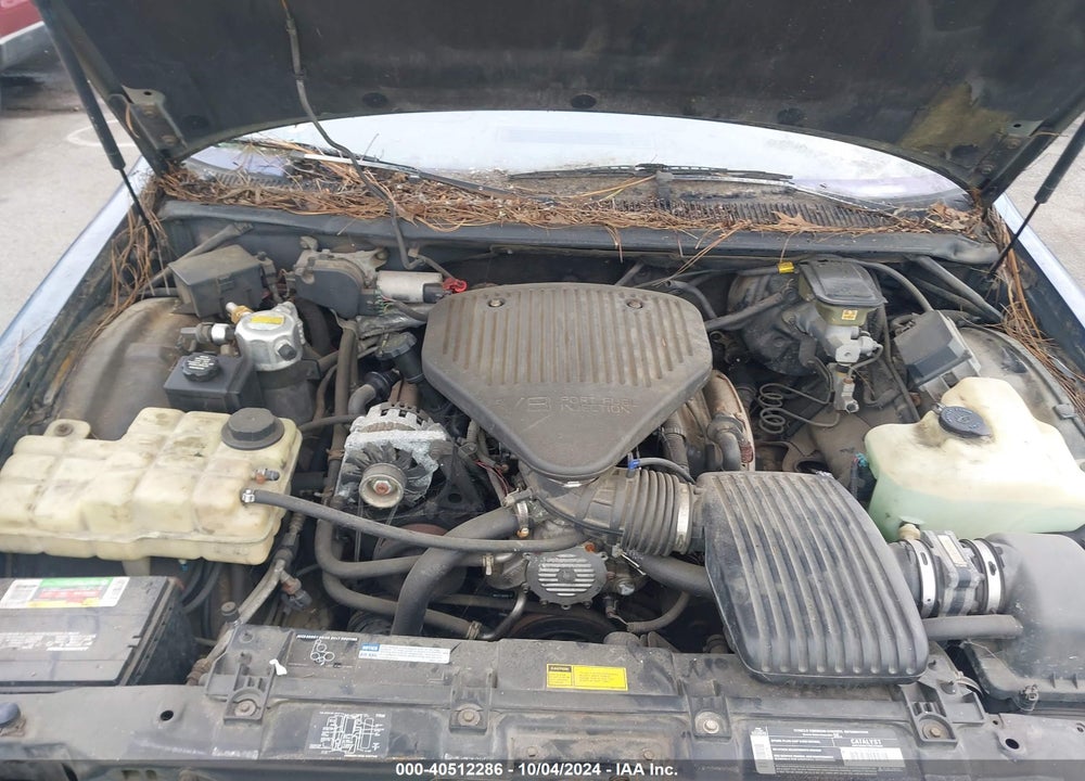 1994 CHEVROLET CAPRICE CLASSIC VIN: 1G1BL52WXRR105533