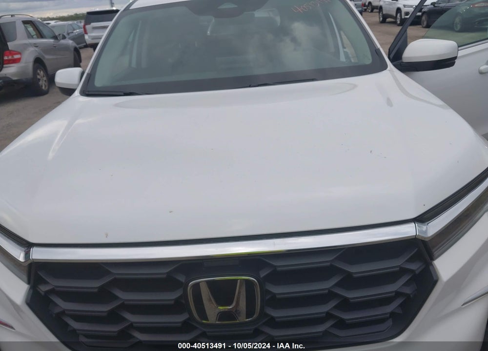 2024 HONDA PILOT EX-L 7-PASSENGER VIN: 5FNYG2H52RB004981