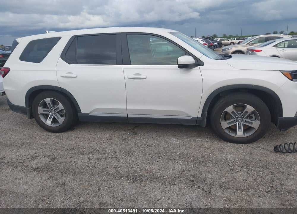 2024 HONDA PILOT EX-L 7-PASSENGER VIN: 5FNYG2H52RB004981