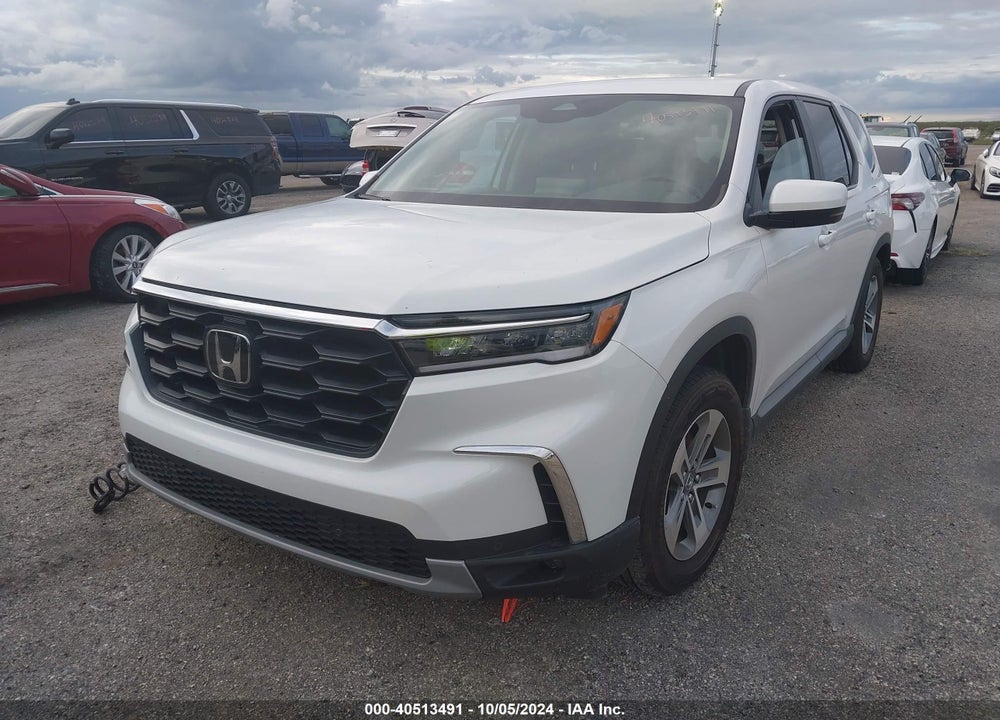 2024 HONDA PILOT EX-L 7-PASSENGER VIN: 5FNYG2H52RB004981
