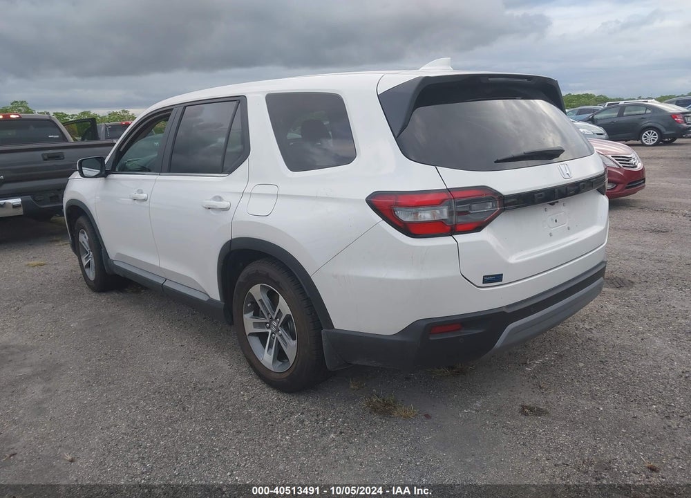 2024 HONDA PILOT EX-L 7-PASSENGER VIN: 5FNYG2H52RB004981