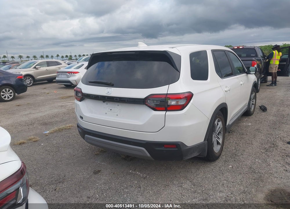 2024 HONDA PILOT EX-L 7-PASSENGER VIN: 5FNYG2H52RB004981