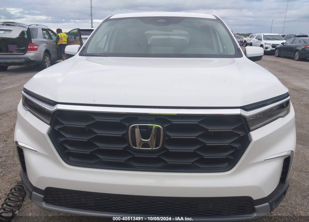 2024 HONDA PILOT EX-L 7-PASSENGER VIN: 5FNYG2H52RB004981