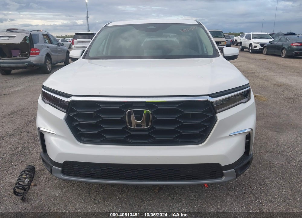 2024 HONDA PILOT EX-L 7-PASSENGER VIN: 5FNYG2H52RB004981