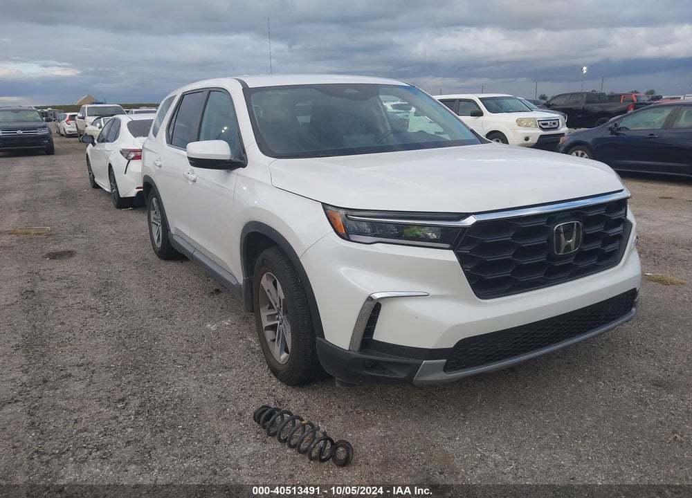2024 HONDA PILOT EX-L 7-PASSENGER VIN: 5FNYG2H52RB004981