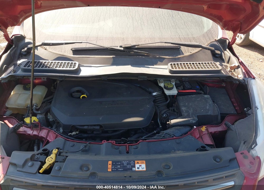 2014 FORD ESCAPE VIN: 1FMCU0GX6EUC66994