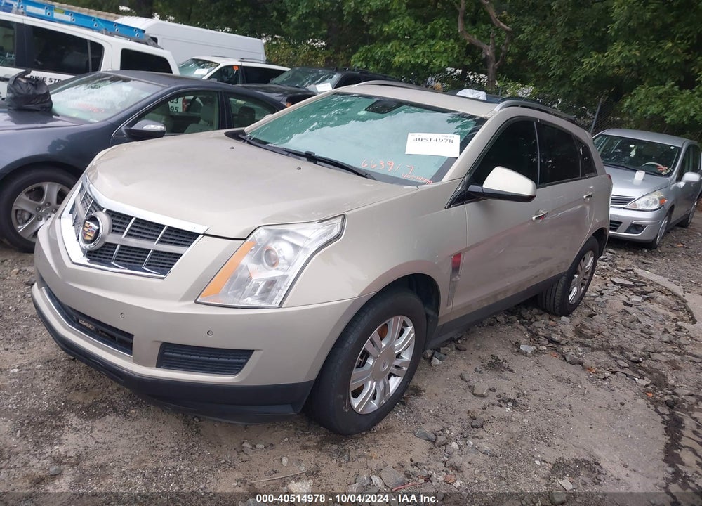 2011 CADILLAC SRX LUXURY COLLECTION VIN: 3GYFNAEY4BS663917