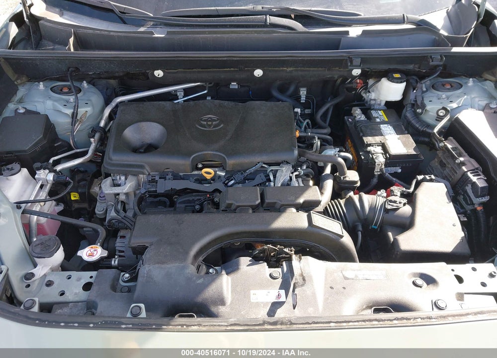 2019 TOYOTA RAV4 XLE VIN: 2T3W1RFVXKW053690
