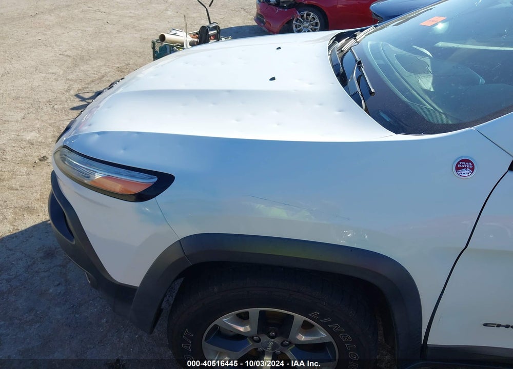 2014 JEEP CHEROKEE TRAILHAWK VIN: 1C4PJMBB3EW204748