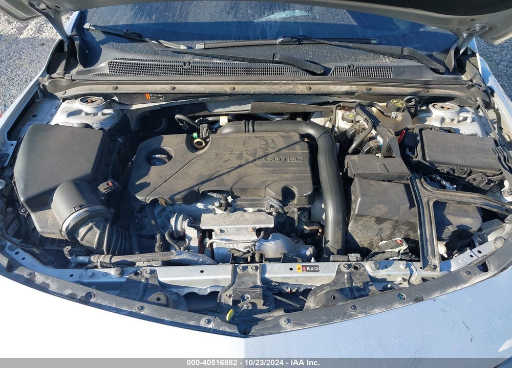 2019 CHEVROLET MALIBU 1FL VIN: 1G1ZC5STXKF179711