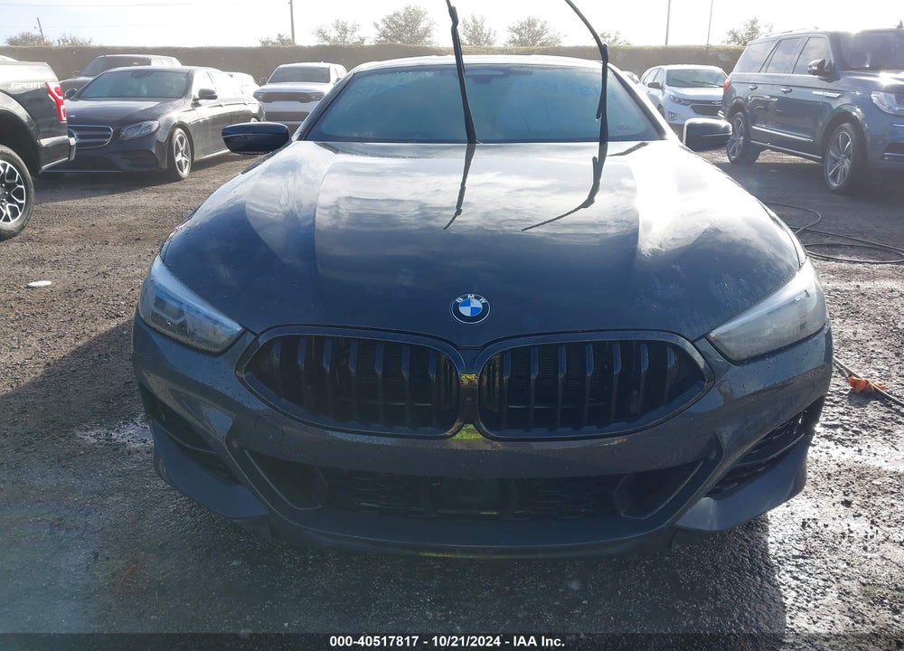 2022 BMW M850I XDRIVE VIN: WBABC4C06NCJ39166