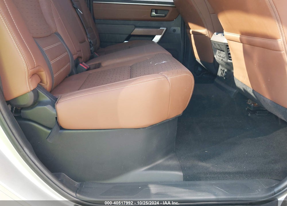2022 TOYOTA TUNDRA 1794 EDITION VIN: 5TFMA5DB5NX023781