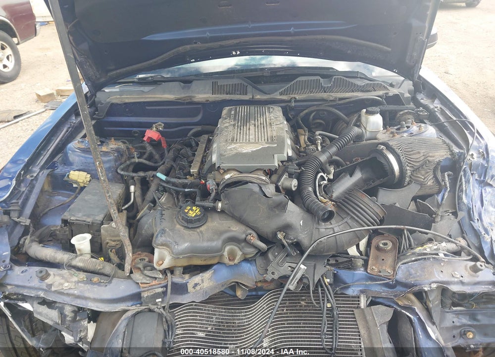 2010 FORD MUSTANG VIN: 1ZVBP8CH2A5137155