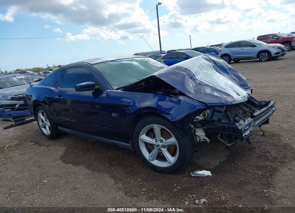 2010 FORD MUSTANG VIN: 1ZVBP8CH2A5137155