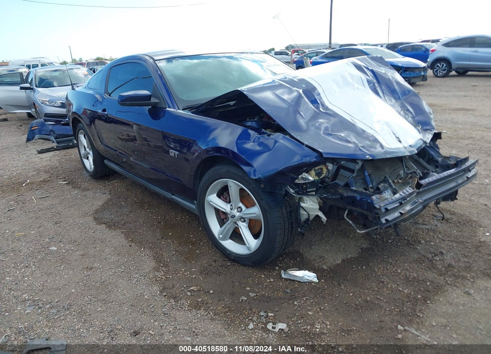 2010 FORD MUSTANG VIN: 1ZVBP8CH2A5137155